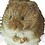 Rockvole